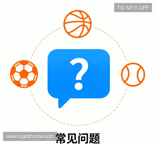 用户指南